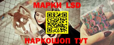 индика Донецк