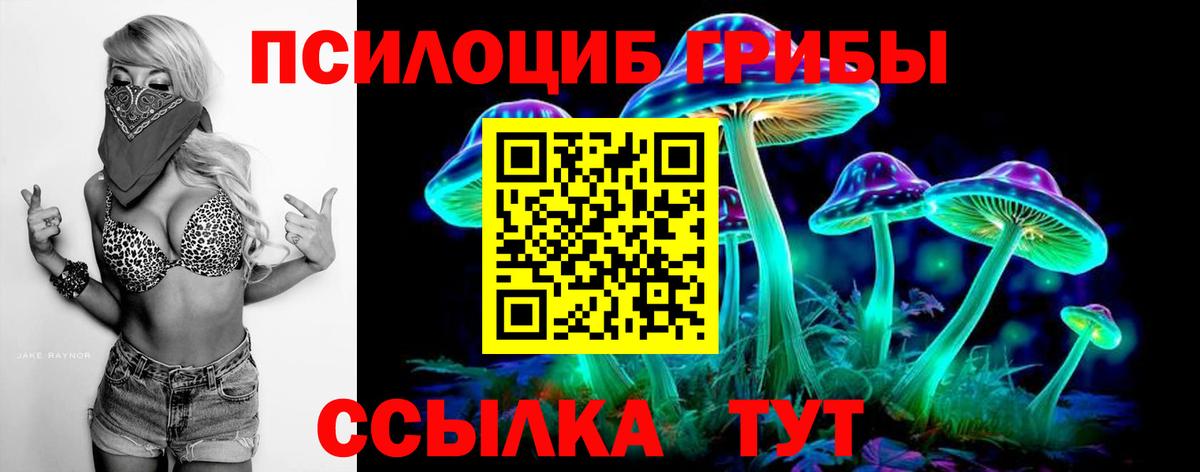 Псилоцибиновые грибы Magic Shrooms Минеральные Воды